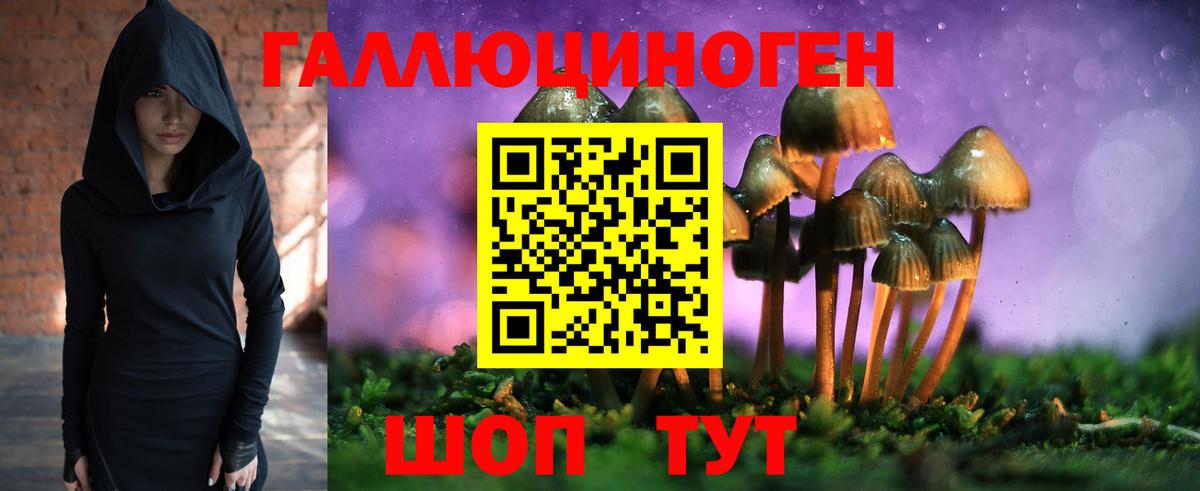 Галлюциногенные грибы Cubensis  Галлюциногенные грибы мухоморы  Вход с VPN  даркнет сайт  Сухой Лог 